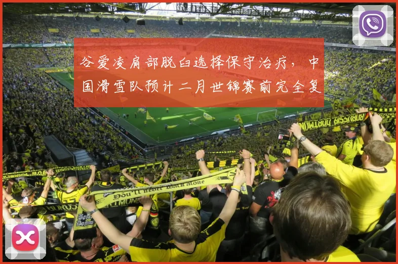谷爱凌肩部脱臼选择保守治疗,中国滑雪队预计二月世锦赛前完全复出
